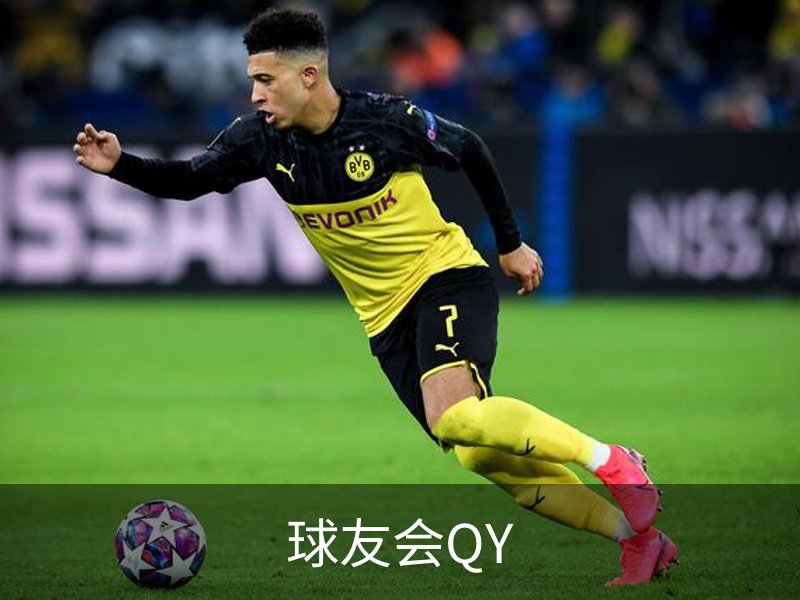 球友会QY简介